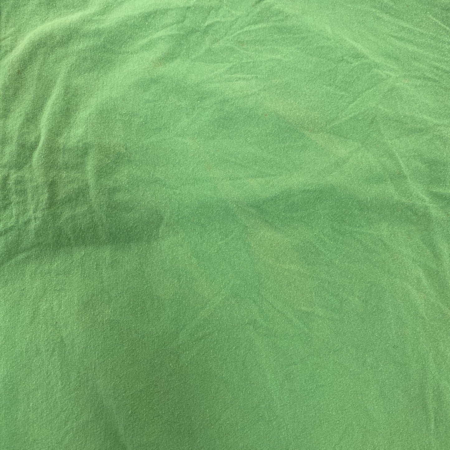 Disney ディズニー 半袖プリントTシャツ キャラクターT 緑 グリーン 3XLサイズ