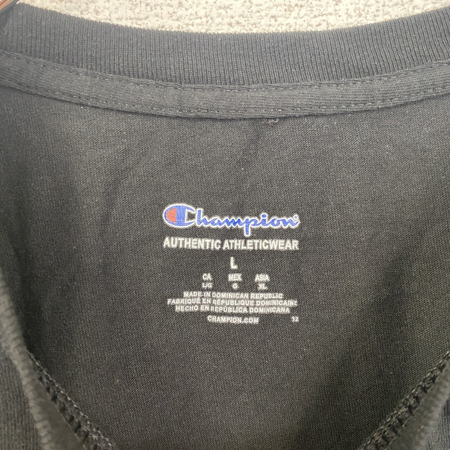 古着 used Champion チャンピオン 半袖ワンポイントプリントTシャツ SHSM TITANS 黒 春夏服 Lサイズ