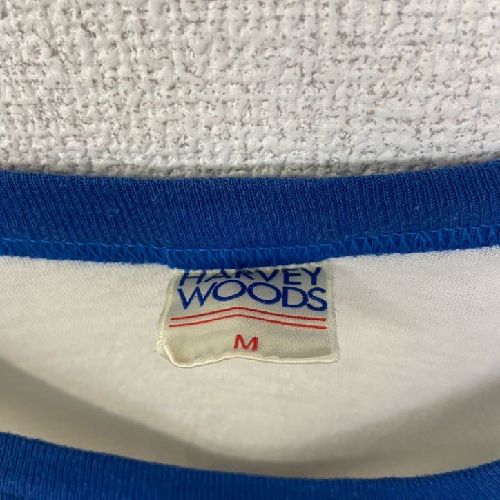 古着 used 半袖プリントTシャツ 90s シングルステッチ ラグラン クルーネック レトロ 白 青 ホワイト Mサイズ
