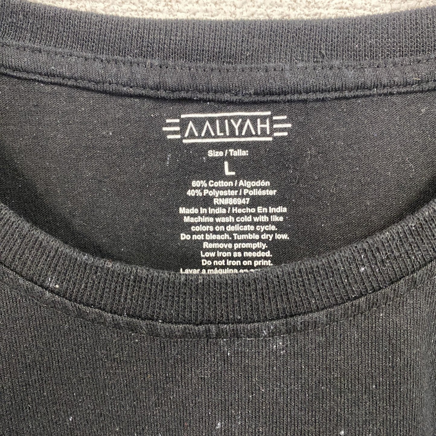 古着 used 半袖音楽プリントTシャツ アリーヤ ヒップホップ クルーネック 黒 ブラック レトロデザイン Lサイズ