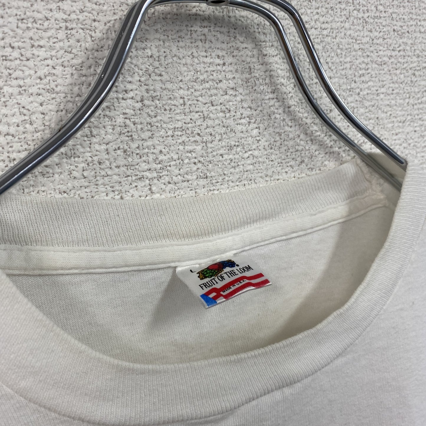 古着 used FRUIT OF THE LOOM 半袖プリントTシャツ シングルステッチ 90s レトロ クルーネック Lサイズ