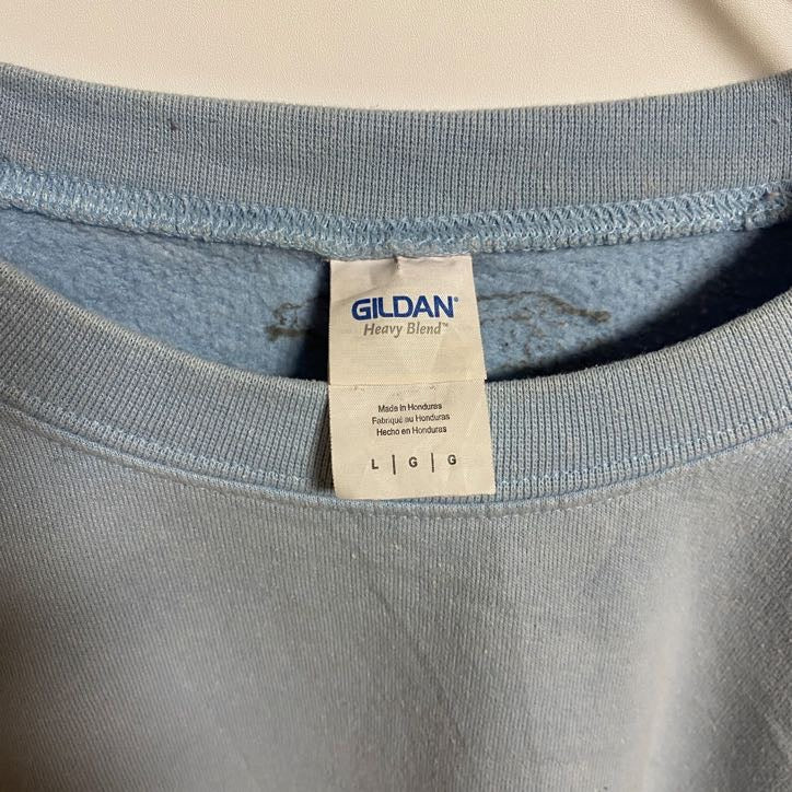 古着 used GILDAN ギルダン 長袖プリントスウェット トレーナー FINE LINE 水色 秋冬服 Lサイズ