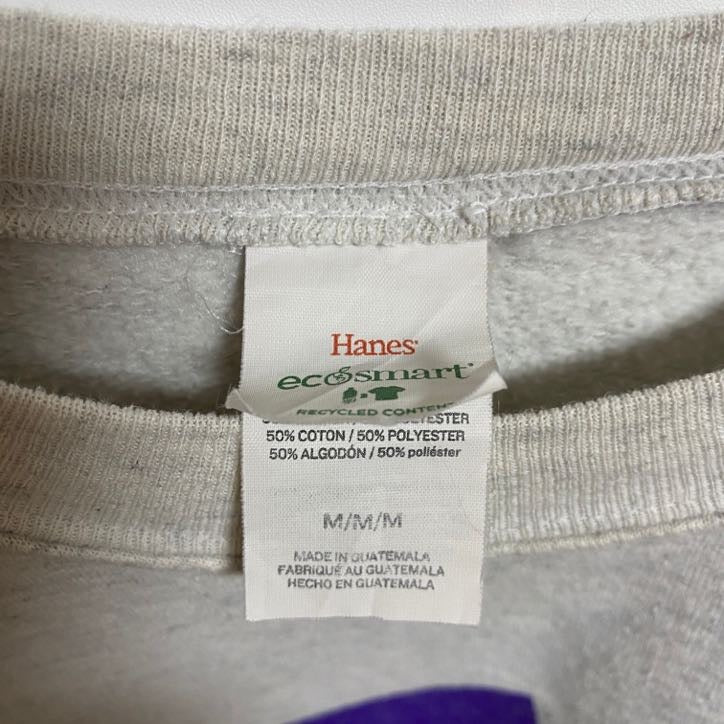 古着 used Hanes ヘインズ 長袖カレッジプリントスウェット トレーナー グレー クルーネック 秋冬服 Mサイズ