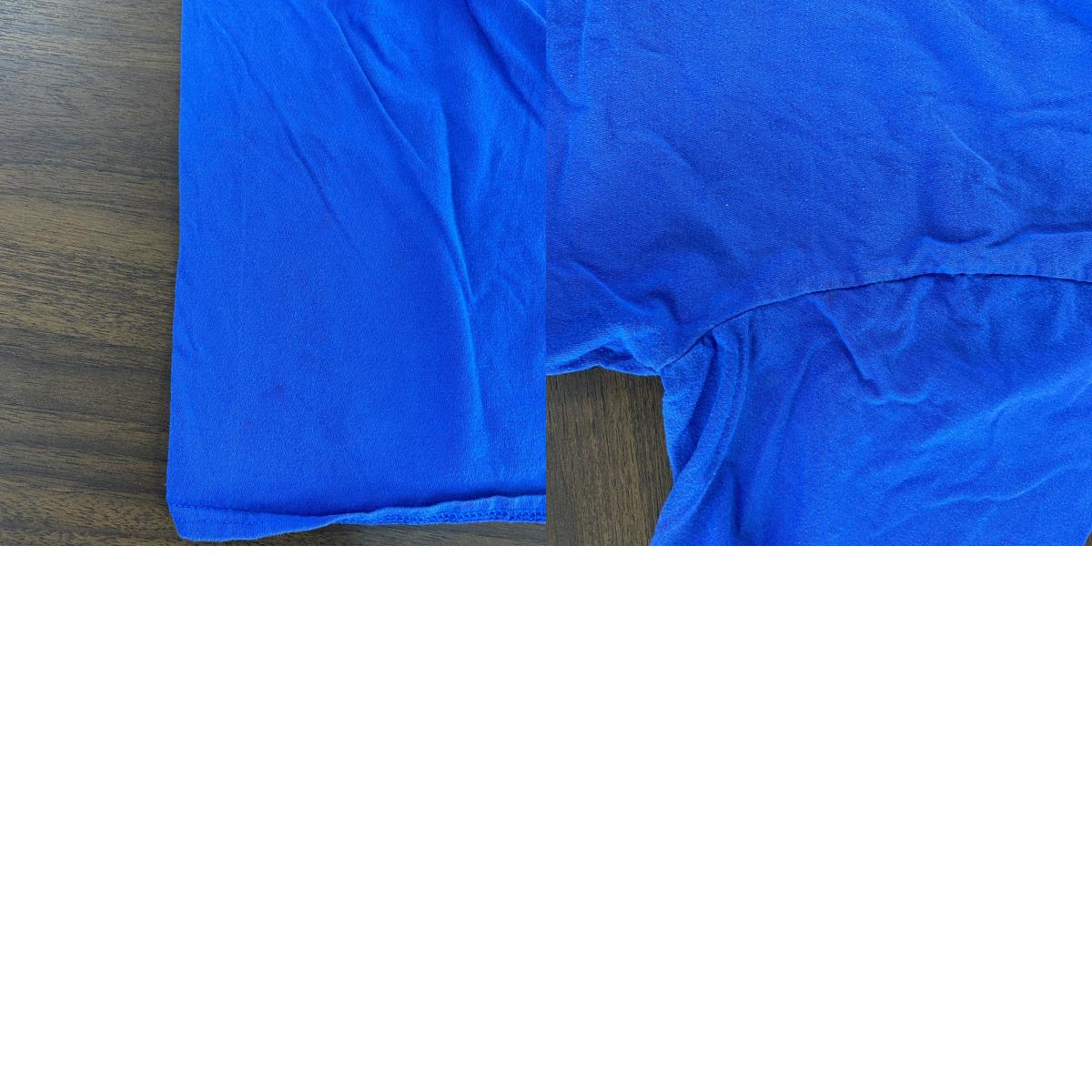 GILDAN Cookie Monster クッキーモンスター 半袖Tシャツ ユーロ 青 ブルー Lサイズ