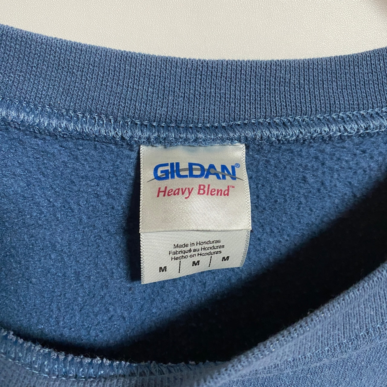 古着 used GILDAN ギルダン 長袖プリントスウェット トレーナー 青 くすみブルー レトロ 秋冬服 Mサイズ