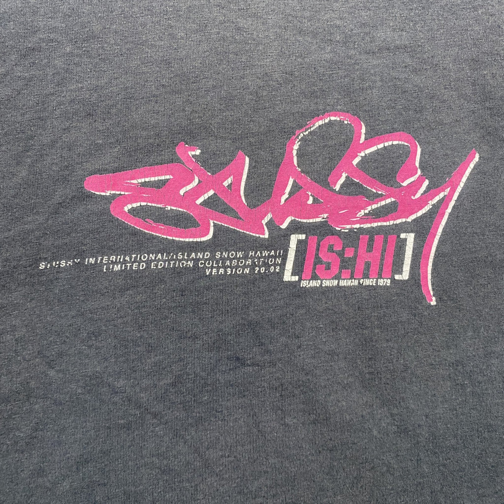 STUSSY　ステューシー　半袖プリントTシャツ　ピチT　黒　ブラック　Mサイズ