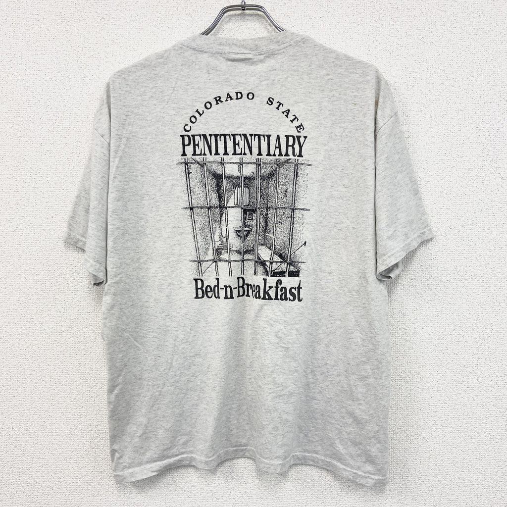 ～00s　Hanes　ヘインズ　半袖プリントTシャツ　ヴィンテージ　灰色　グレー　Lサイズ