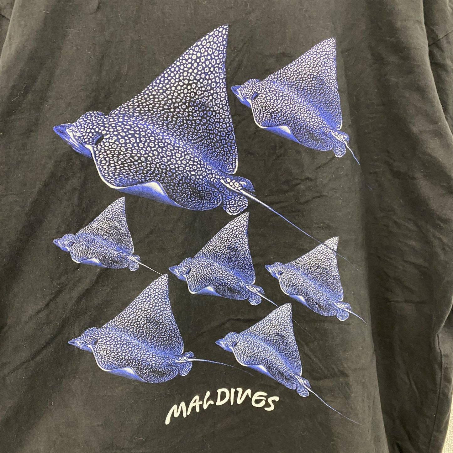 MALDIVES　半袖プリントTシャツ　アニマルT　マンタ　黒　ブラック　XLサイズ