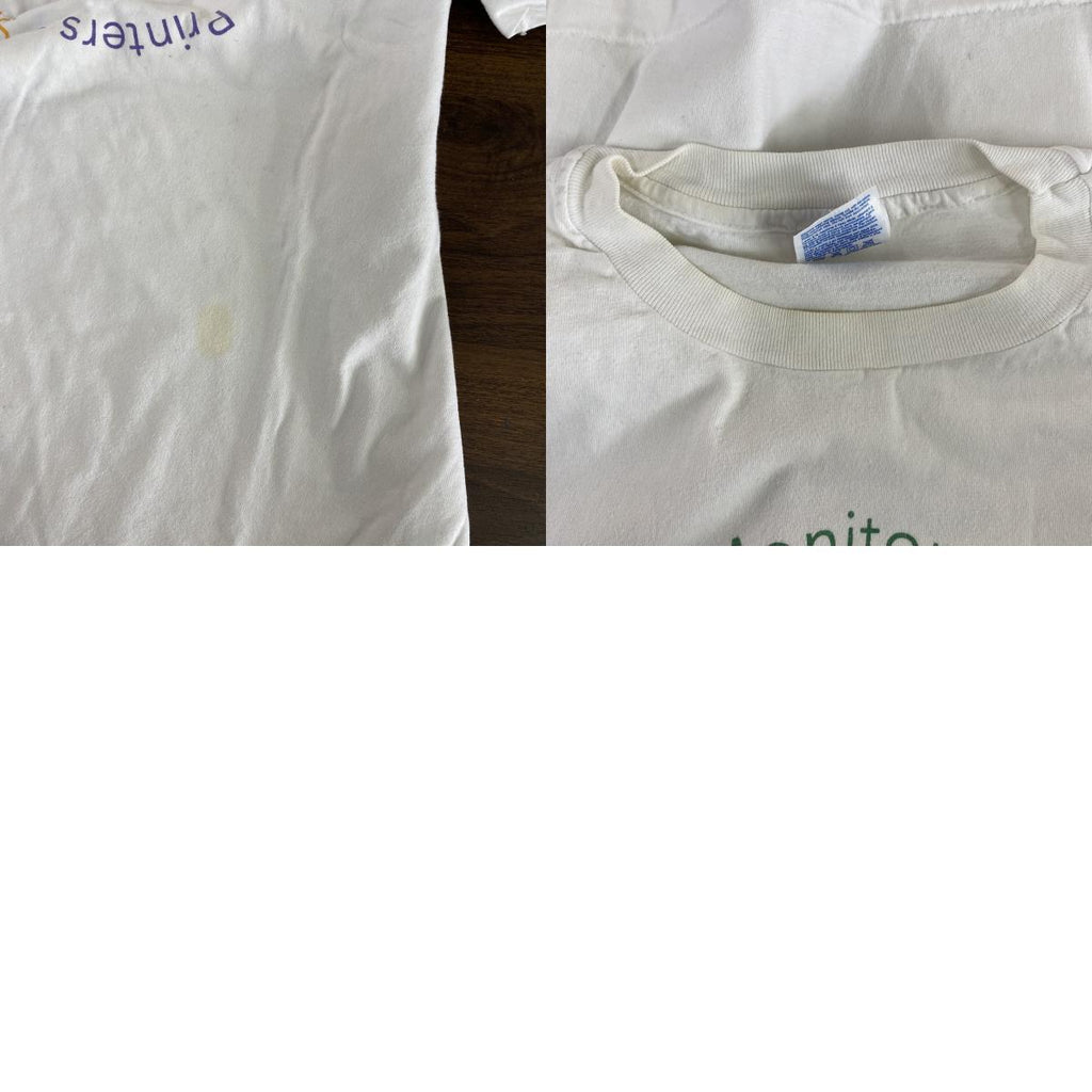～00s　Hanes　ヘインズ　半袖プリントTシャツ　ヴィンテージ　シングルステッチ　白　ホワイト　XLサイズ