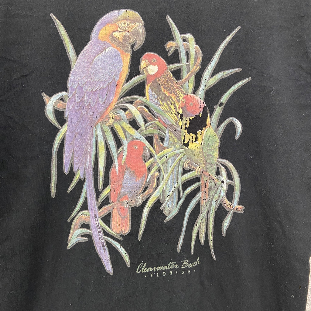 90s　FRUIT OF THE LOOM　フルーツオブザルーム　半袖プリントTシャツ　黒　ブラック　Lサイズ