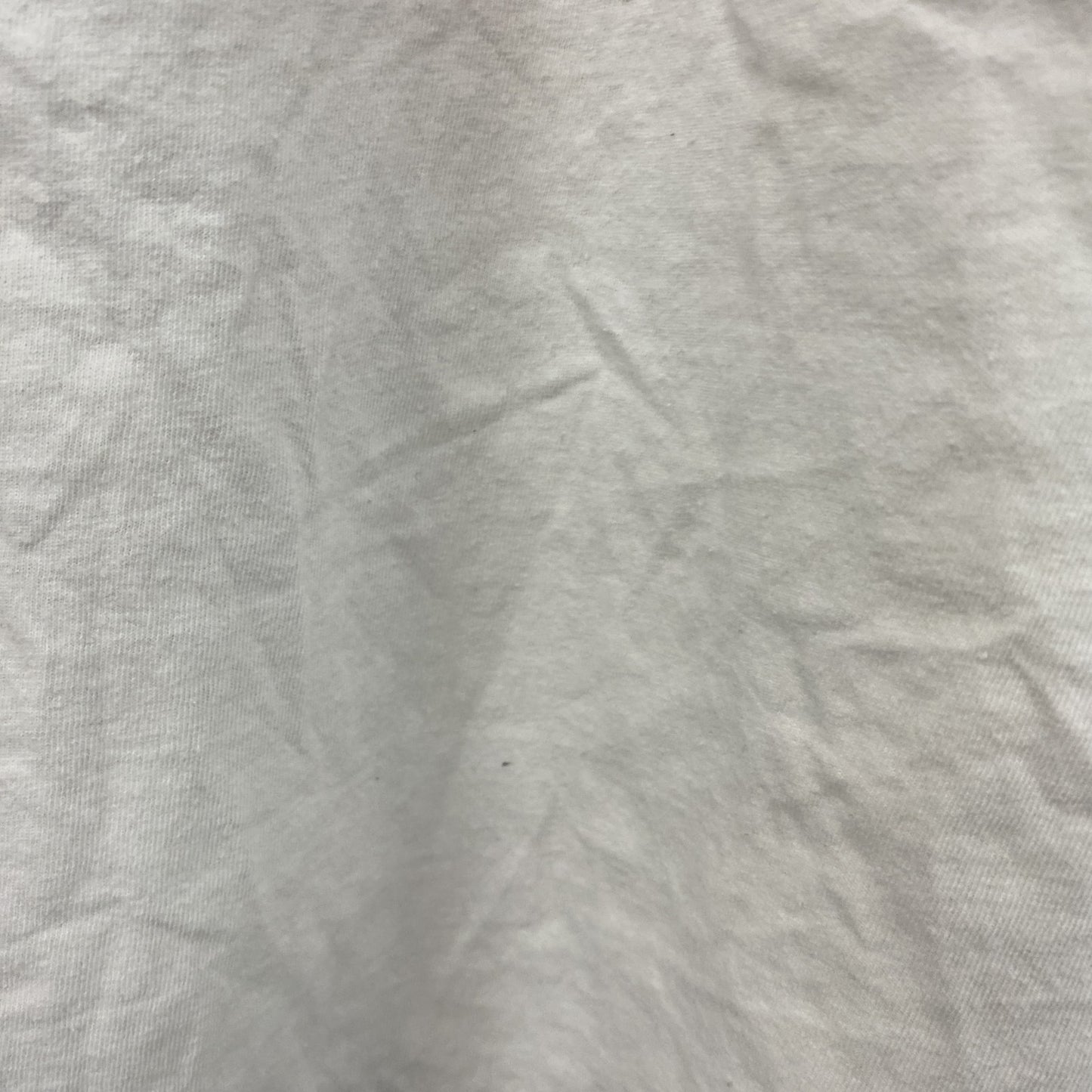 00s　Hanes　半袖プリントTシャツ　星条旗　ヴィンテージ　白　ホワイト　XLサイズ