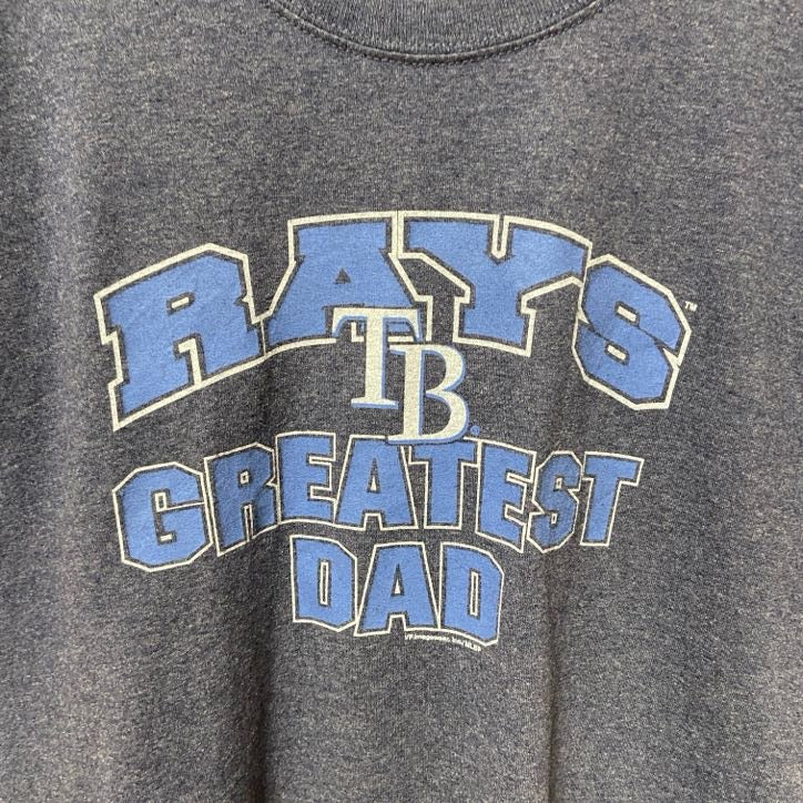 古着 used　MLB　メジャーリーグ　RAYS　タンパベイ レイズ　半袖プリントTシャツ　野球　ネイビー　レトロ　Lサイズ