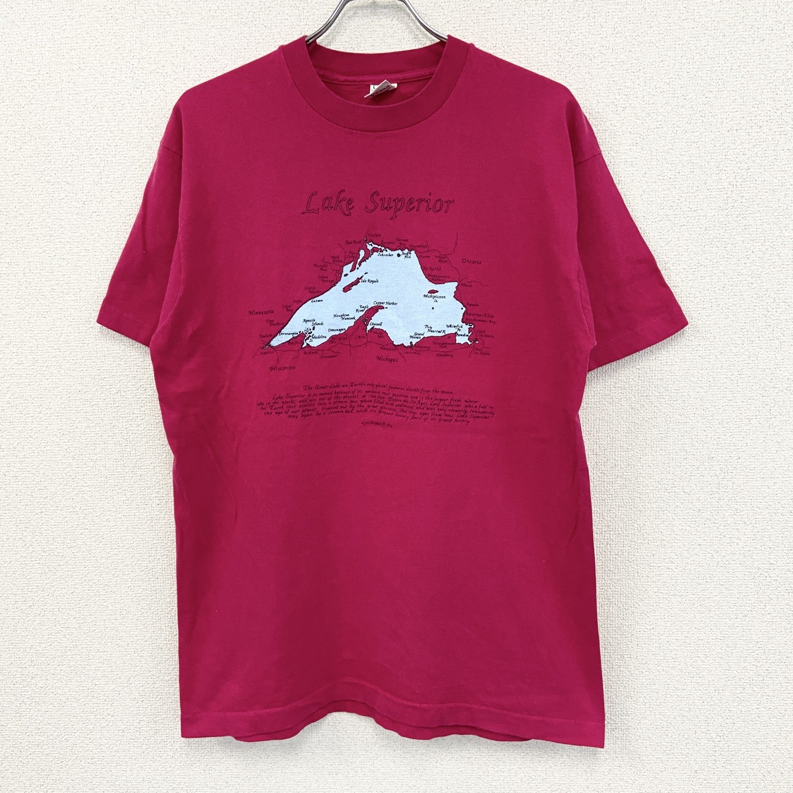 90s　FRUIT OF THE LOOM　半袖プリントTシャツ　ヴィンテージ　シングルステッチ　ピンク　Lサイズ