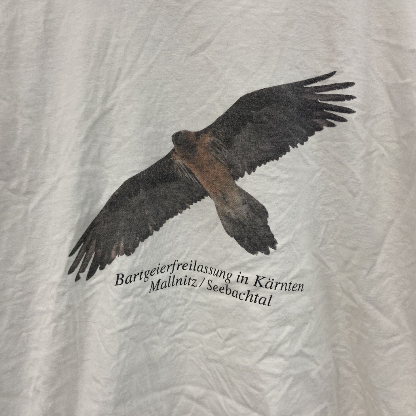 90s～　B&C　半袖プリントTシャツ　鳥　ユーロヴィンテージ　白　ホワイト　Mサイズ