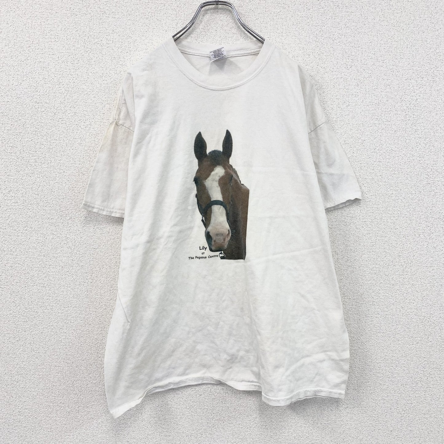 00s　GILDAN　ギルダン　半袖プリントTシャツ　アニマルT　馬　ヴィンテージ　白　ホワイト　XLサイズ