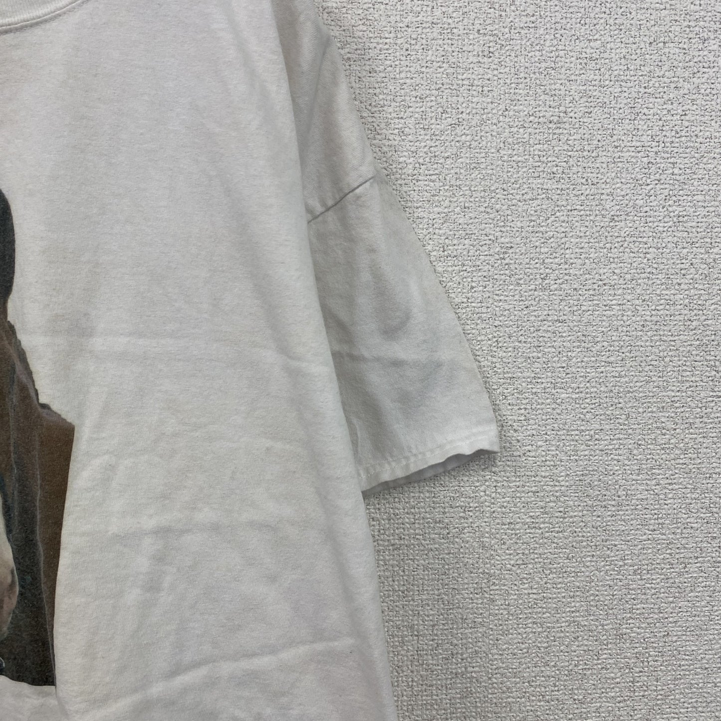 00s　GILDAN　ギルダン　半袖プリントTシャツ　アニマルT　馬　ヴィンテージ　白　ホワイト　XLサイズ