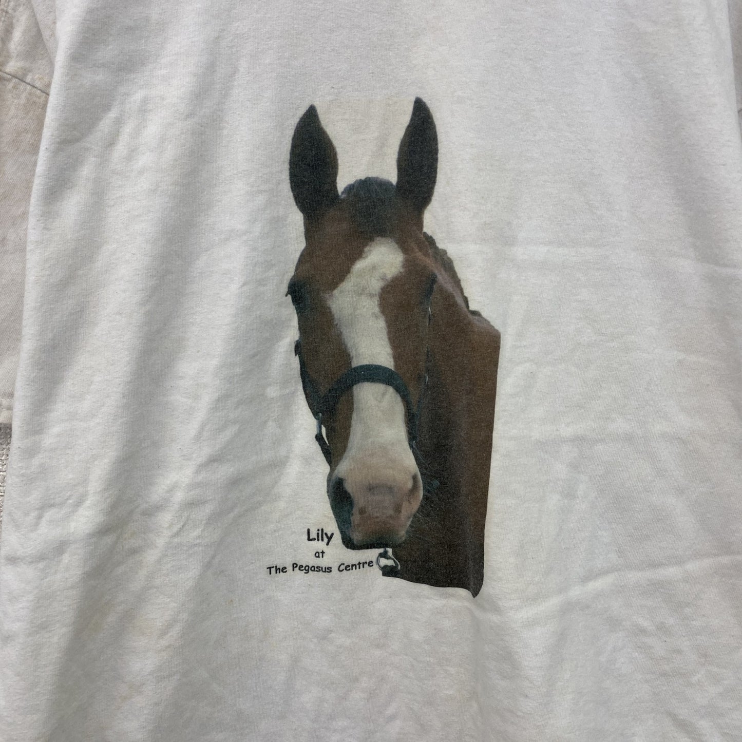 00s　GILDAN　ギルダン　半袖プリントTシャツ　アニマルT　馬　ヴィンテージ　白　ホワイト　XLサイズ