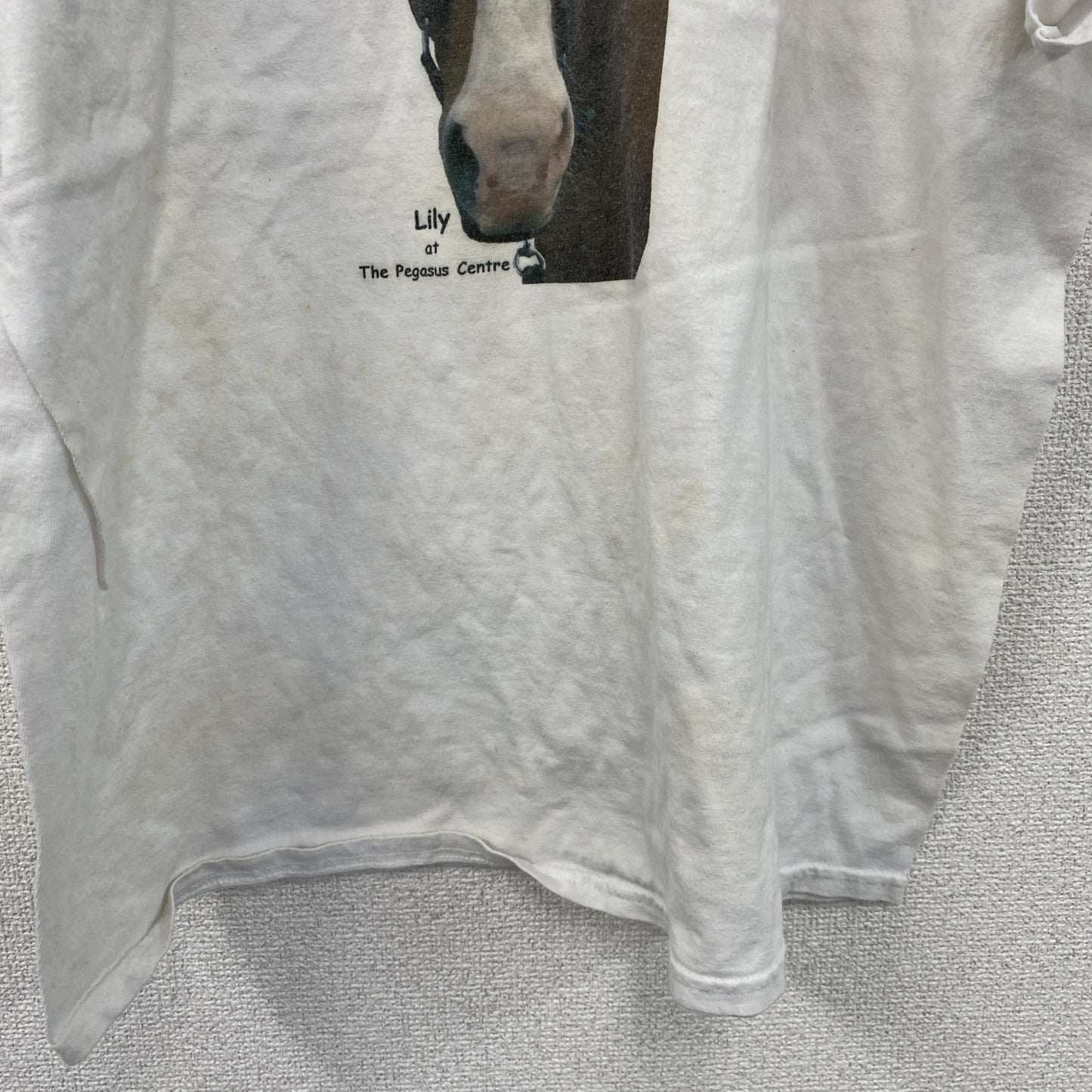 00s　GILDAN　ギルダン　半袖プリントTシャツ　アニマルT　馬　ヴィンテージ　白　ホワイト　XLサイズ
