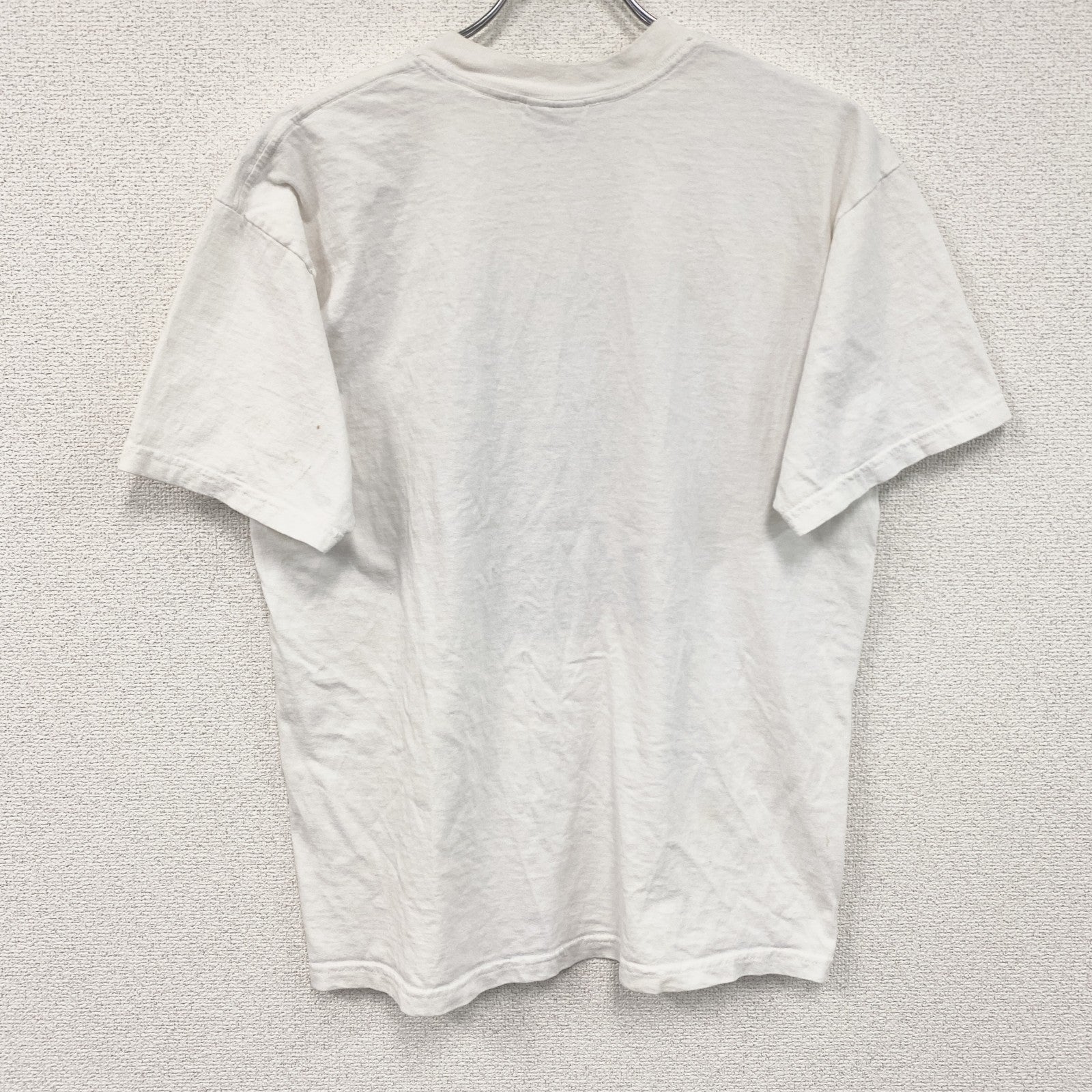 00s　backcountry clothing　半袖プリントTシャツ　ヴィンテージ　白　ホワイト　Lサイズ