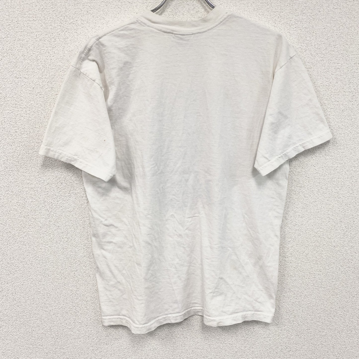 00s　backcountry clothing　半袖プリントTシャツ　ヴィンテージ　白　ホワイト　Lサイズ