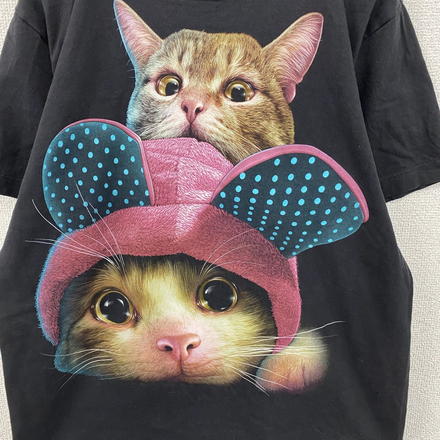 00s　Rock Chang　ロックチャン　半袖トTシャツ　アニマルT　猫　ヴィンテージ　黒　ブラック　Mサイズ