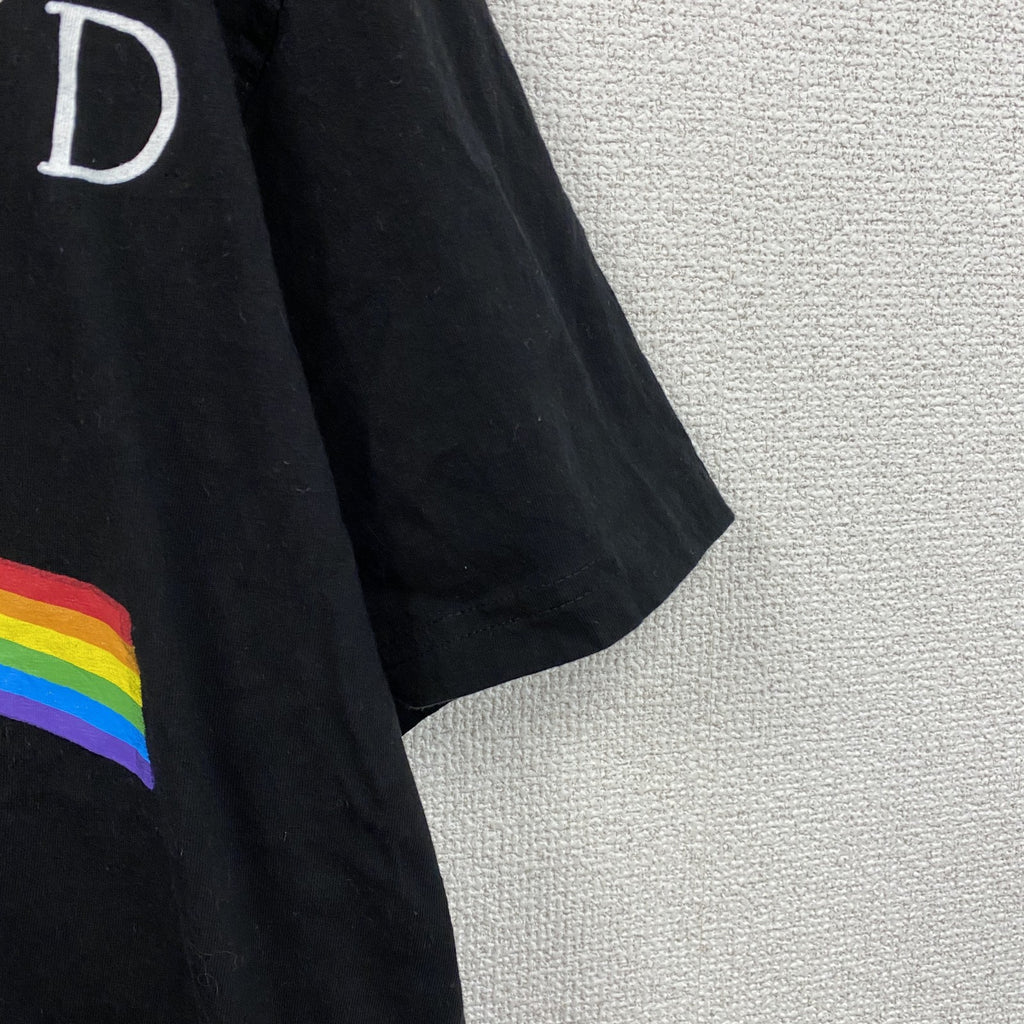 PINK FLOYD　ピンクフロイド　半袖プリントTシャツ　バンドT　黒　ブラック　Lサイズ