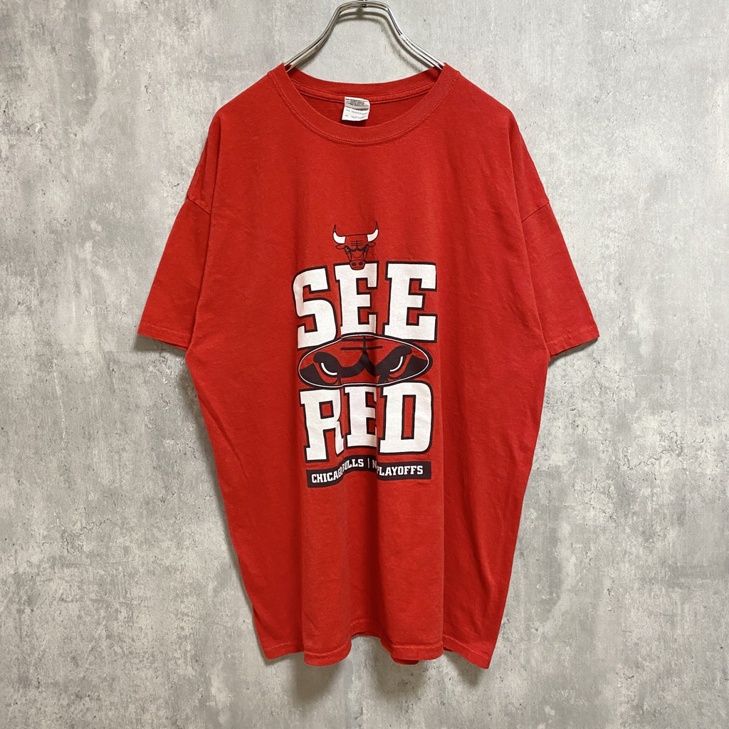 古着 used　GILDAN　ギルダン　半袖プリントTシャツ　シカゴブルズ　NBA　バスケットボール　赤　レッド　XLサイズ