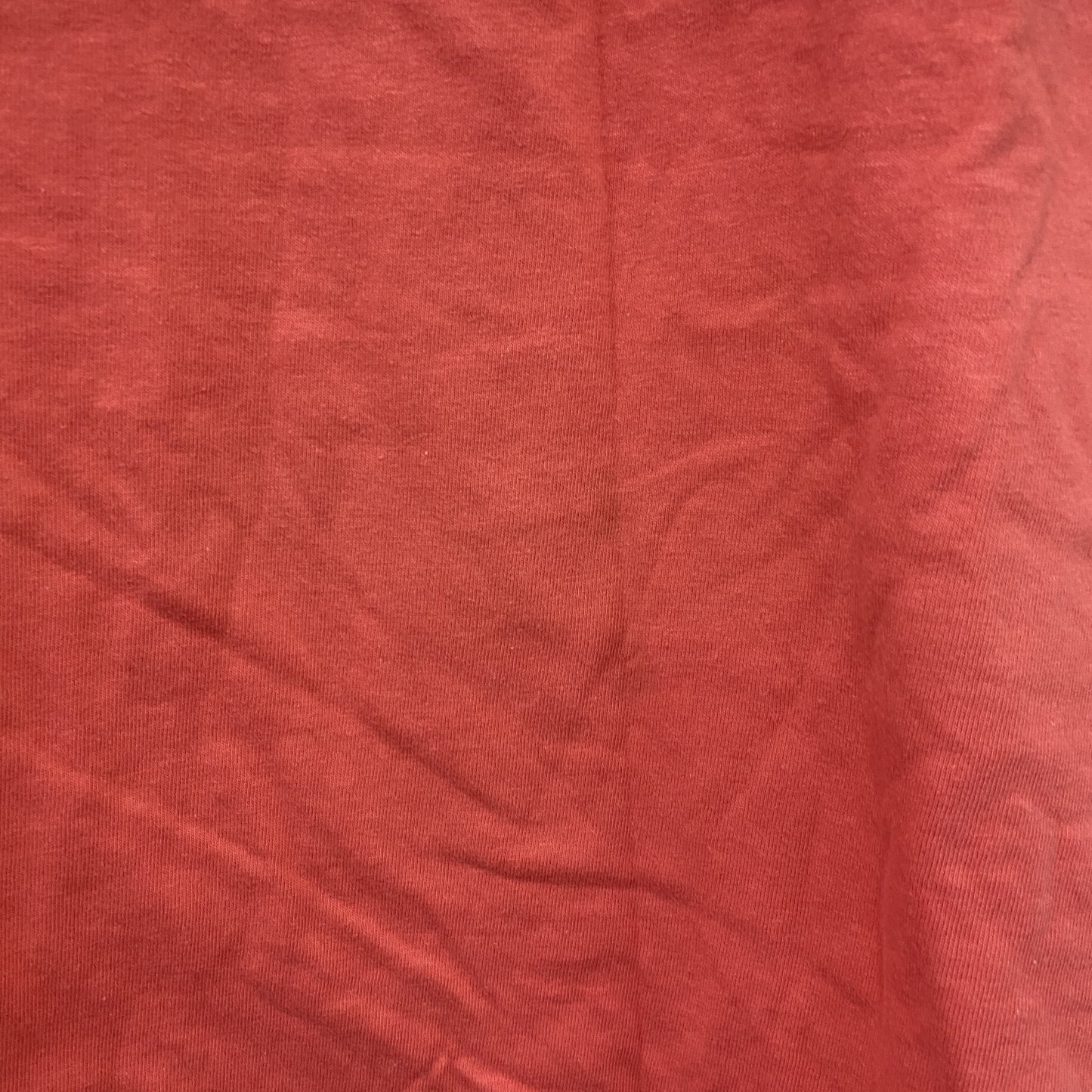 Hanes　ヘインズ　BEEFY-T　半袖プリントTシャツ　シングルステッチ　赤　レッド　Lサイズ