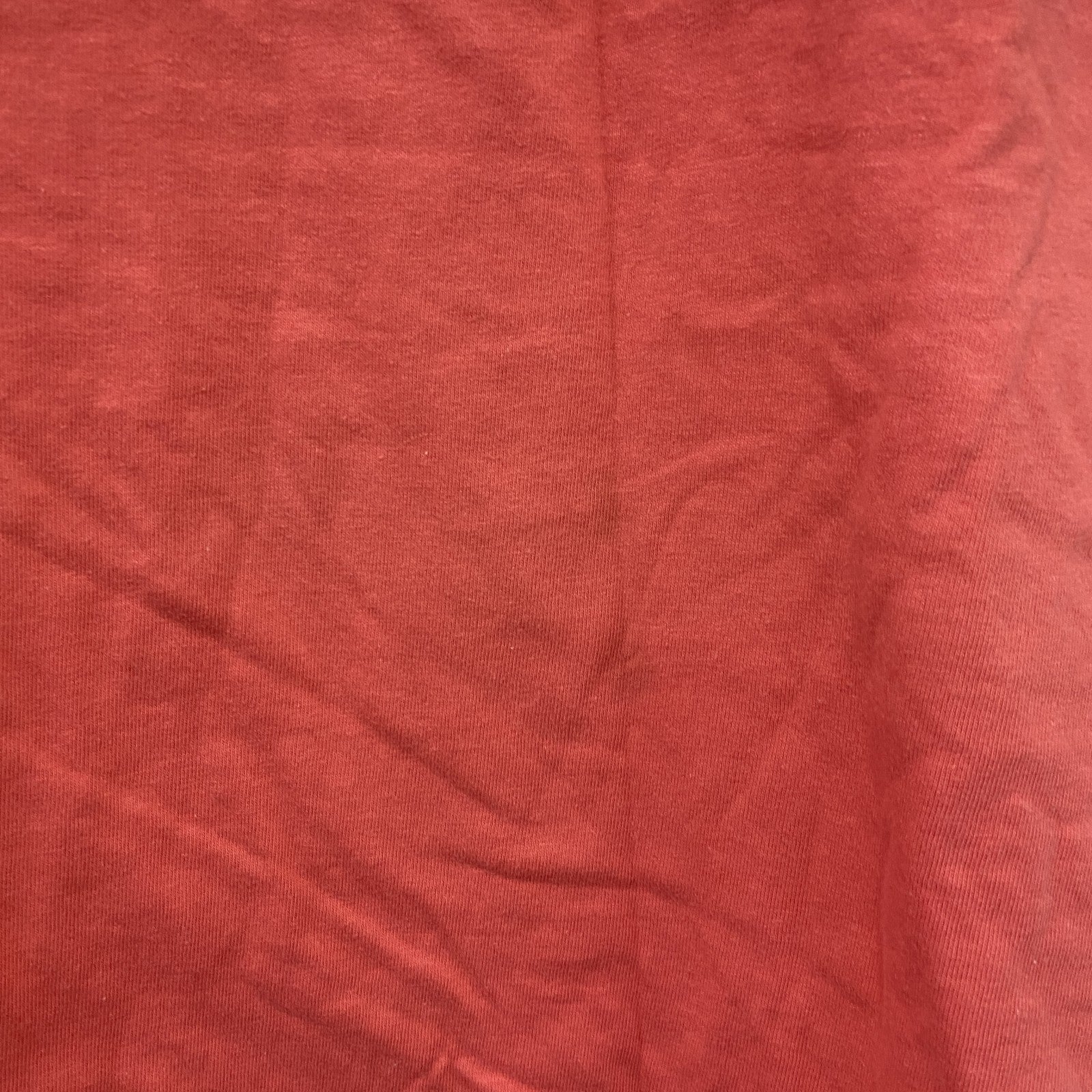 Hanes　ヘインズ　BEEFY-T　半袖プリントTシャツ　シングルステッチ　赤　レッド　Lサイズ