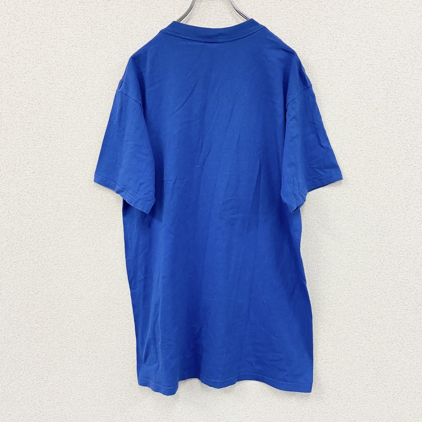 ～00s　TULTEX　タルテックス　半袖Ｔシャツ　刺繍ロゴ　ヴィンテージ　青　ブルー　Lサイズ