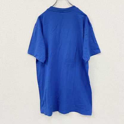 ～00s　TULTEX　タルテックス　半袖Ｔシャツ　刺繍ロゴ　ヴィンテージ　青　ブルー　Lサイズ
