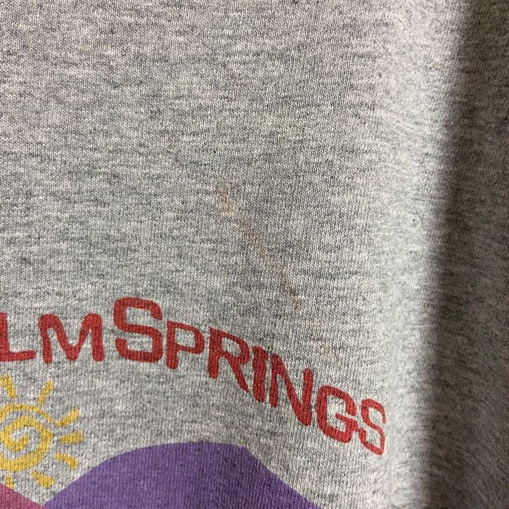 古着 used　FRUITOFTHELOOM　半袖ツアープリントTシャツ　協賛バックプリント　グレー　ビッグシルエット　XLサイズ