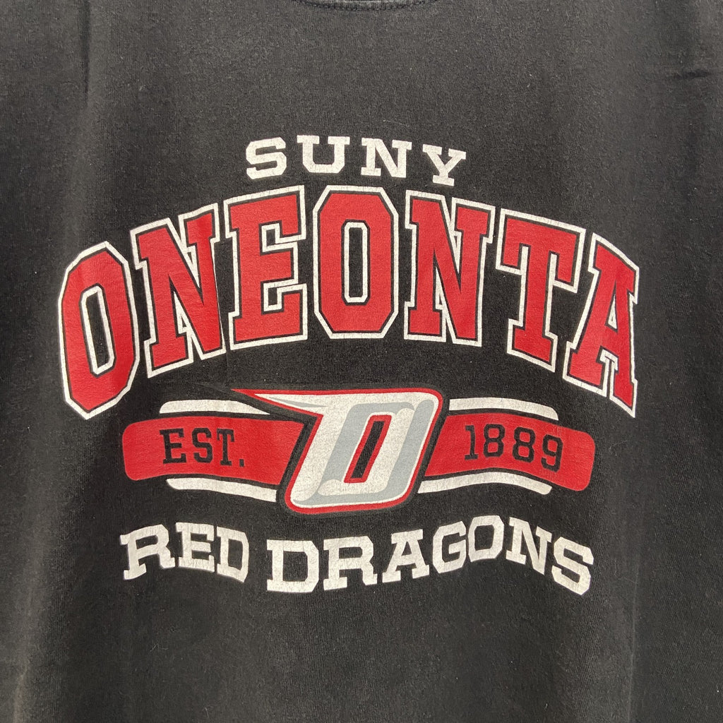 古着 used　champion チャンピオン　半袖カレッジプリントTシャツ　オネオンタ大学　クルーネック　レトロ　Lサイズ