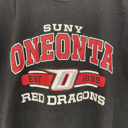 古着 used　champion チャンピオン　半袖カレッジプリントTシャツ　オネオンタ大学　クルーネック　レトロ　Lサイズ