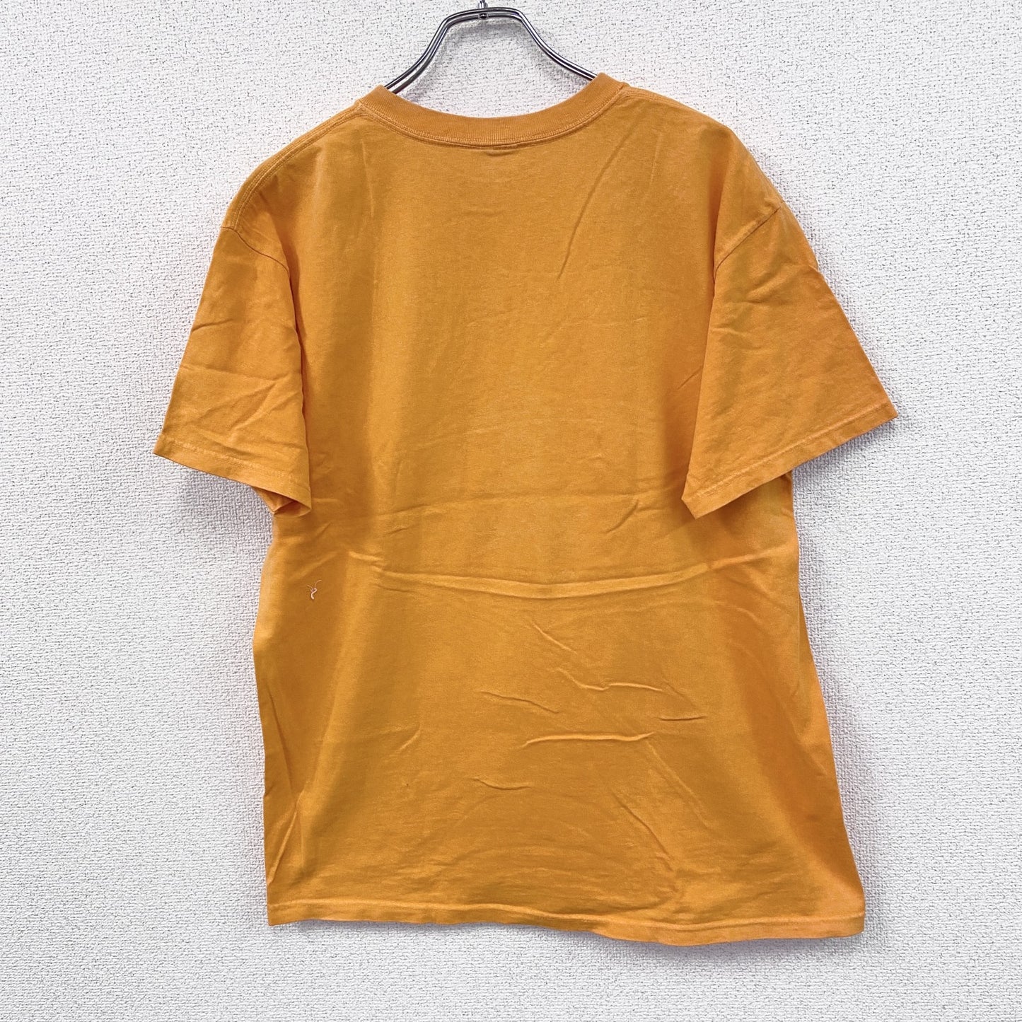 00s　anvil　アンヴィル　半袖Tシャツ　フジロックフェスティバル　ヴィンテージ　オレンジ　Lサイズ