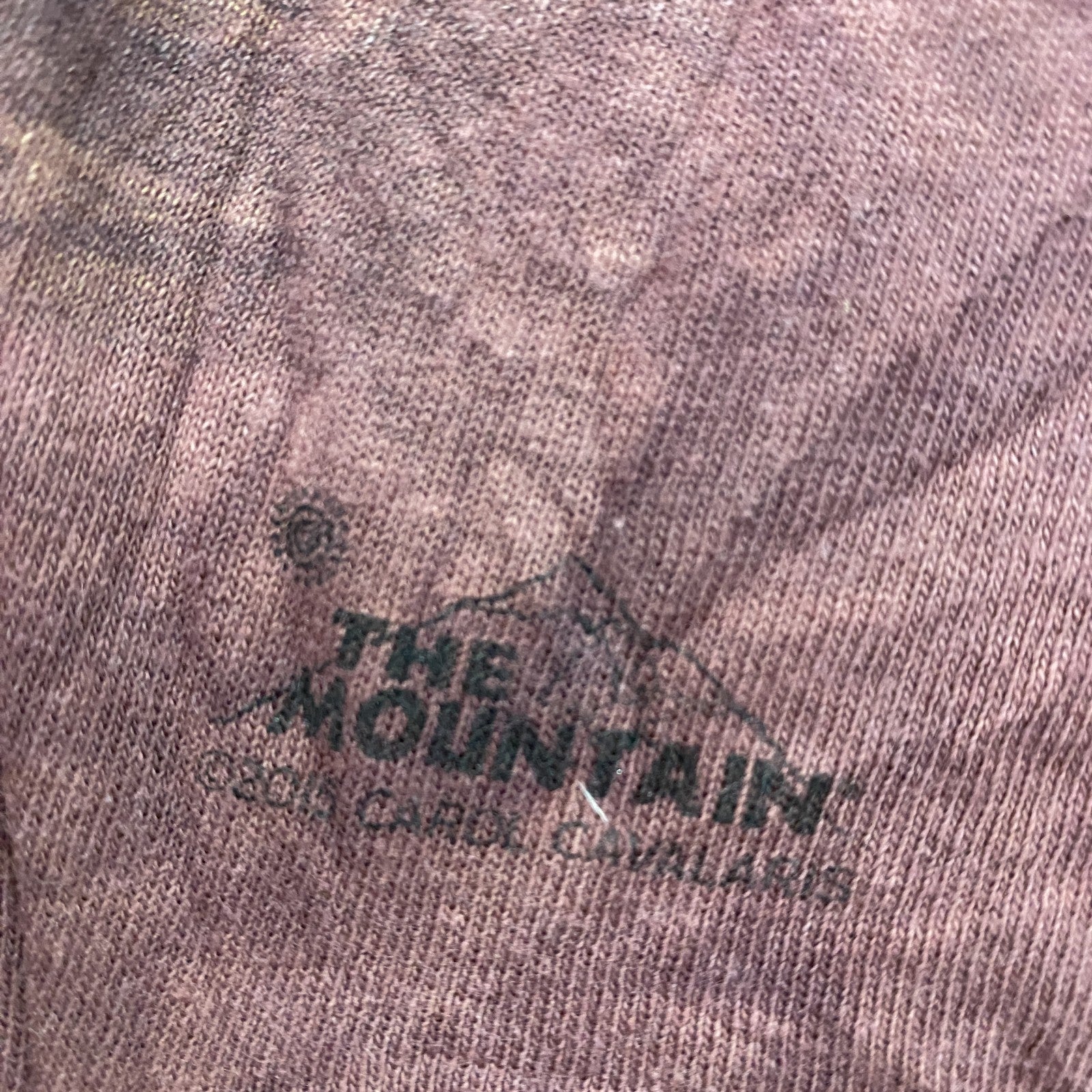 THE MOUNTAIN　ザマウンテン　半袖プリントTシャツ　アニマルT　タイダイ　ワインレッド　XLサイズ