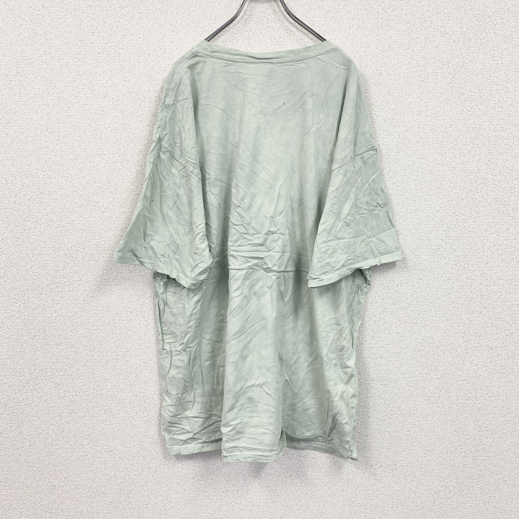 THE MOUNTAIN　ザマウンテン　半袖プリントTシャツ　アニマルT　タイダイ　ライトグリーン　3XLサイズ