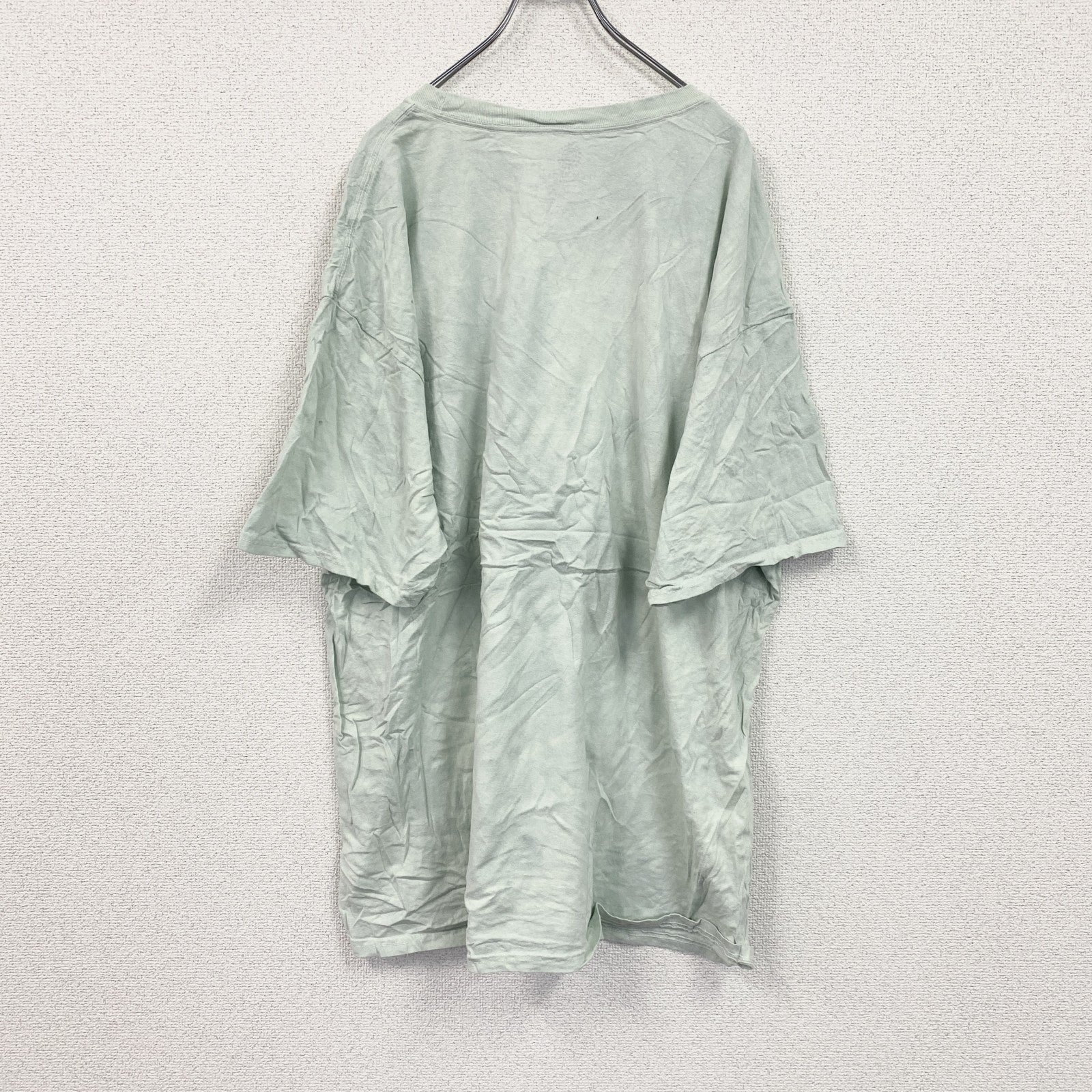 THE MOUNTAIN　ザマウンテン　半袖プリントTシャツ　アニマルT　タイダイ　ライトグリーン　3XLサイズ