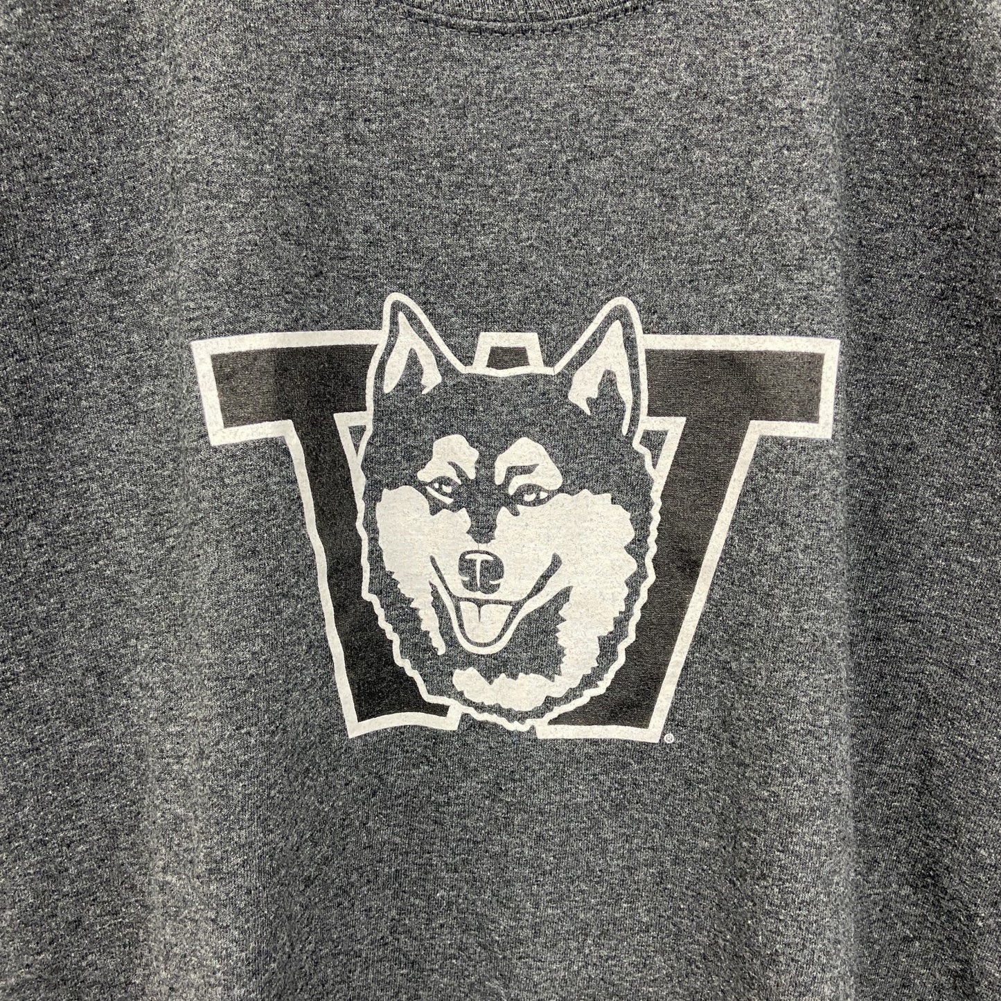 古着 used　Champion チャンピオン　半袖カレッジロゴプリントTシャツ　ワシントン大学　グレー　Lサイズ