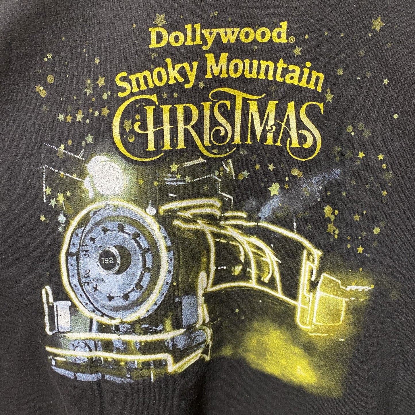 古着 used　GILDAN　Dollywood Smoky Mountain　長袖プリントスウェット　トレーナー　黒　Lサイズ