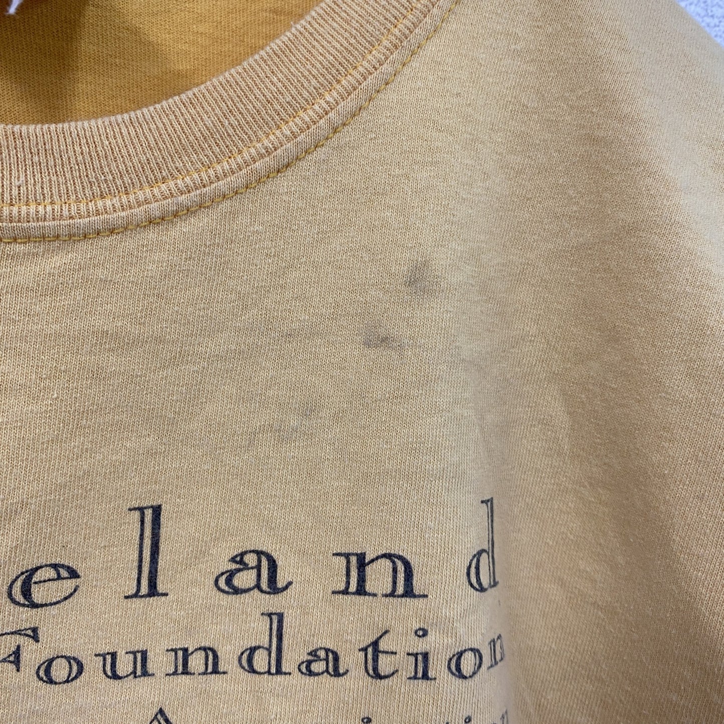 00s　GILDAN　ギルダン　半袖両面プリントTシャツ　企業ロゴ　ドラゴン　フェード　ヴィンテージ　黄色　イエロー　Lサイズ