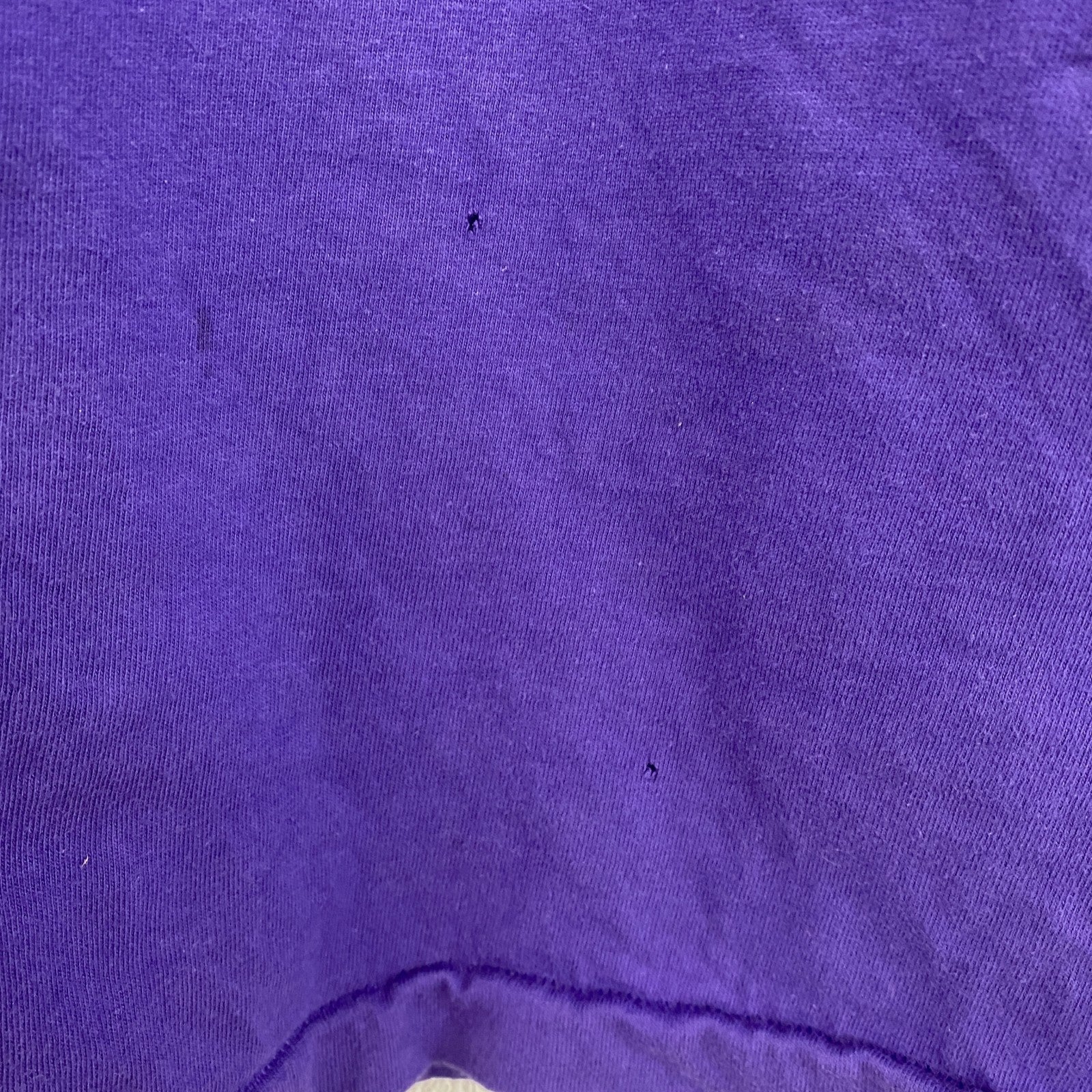 90s　Hanes　ヘインズ　半袖Tシャツ　ヴィンテージ　シングルステッチ　紫　パープル　Lサイズ
