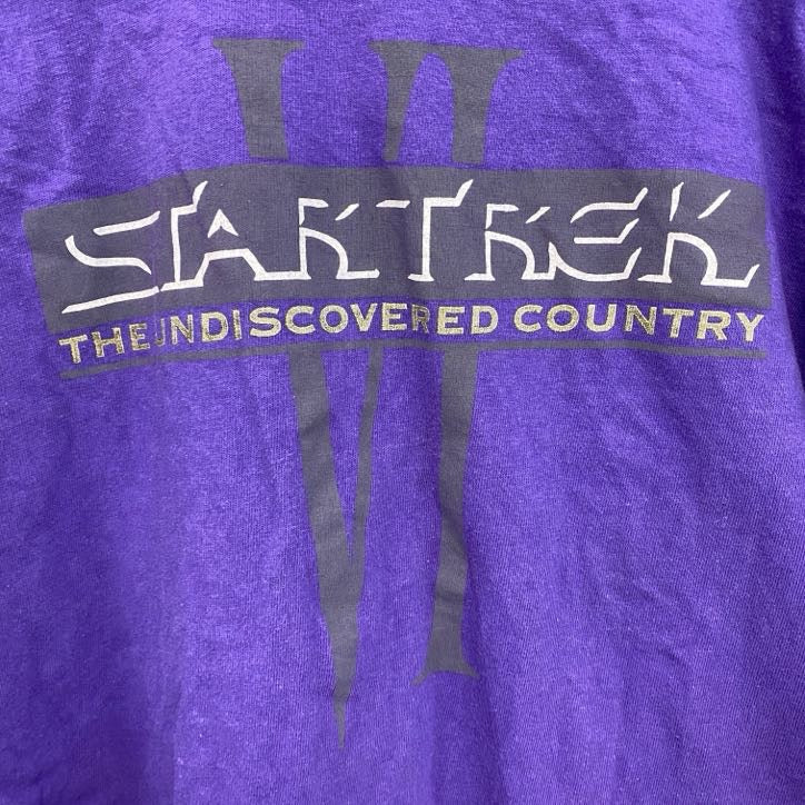 90s　Hanes　ヘインズ　半袖Tシャツ　ヴィンテージ　シングルステッチ　紫　パープル　Lサイズ