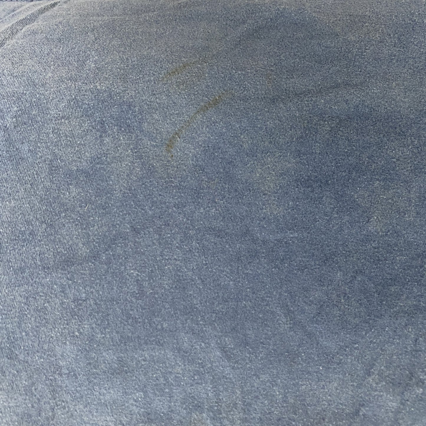 半袖プリントTシャツ　青　ブルー　XLサイズ