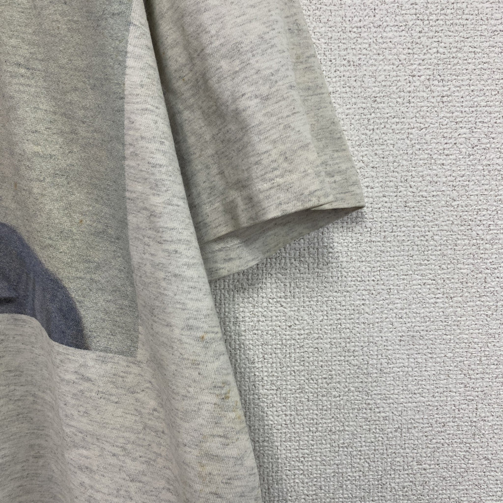 AIRAK　THE BEAUTIFUL SOUTH　ザビューティフルサウス　半袖プリントTシャツ　バンドT　グレー　XLサイズ