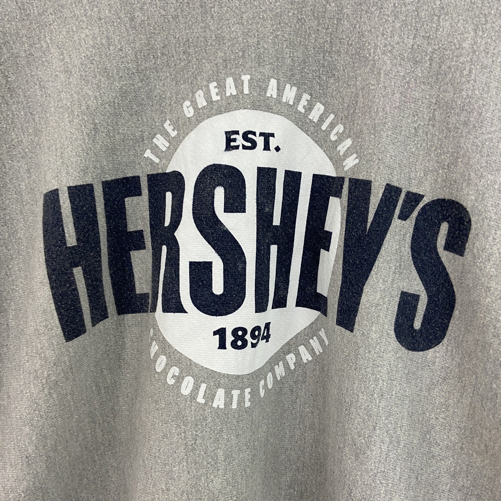 Champion　チャンピオン　リバースウィーブ　スウェット/トレーナー　HERSHEY'S　霜降りグレー　Mサイズ