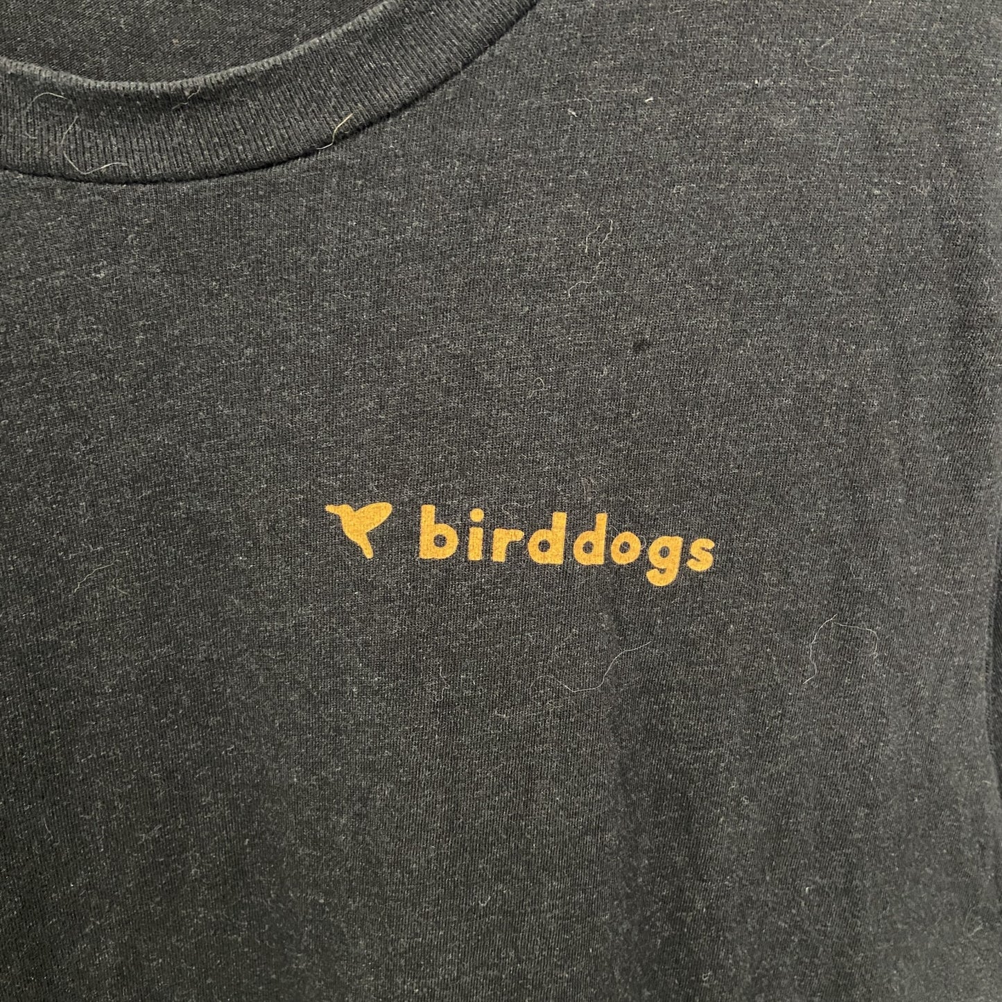 古着 used　BIRDDOGS　半袖ワンポイントプリントTシャツ　バックプリント　グラフィックデザイン　黒　ブラック
