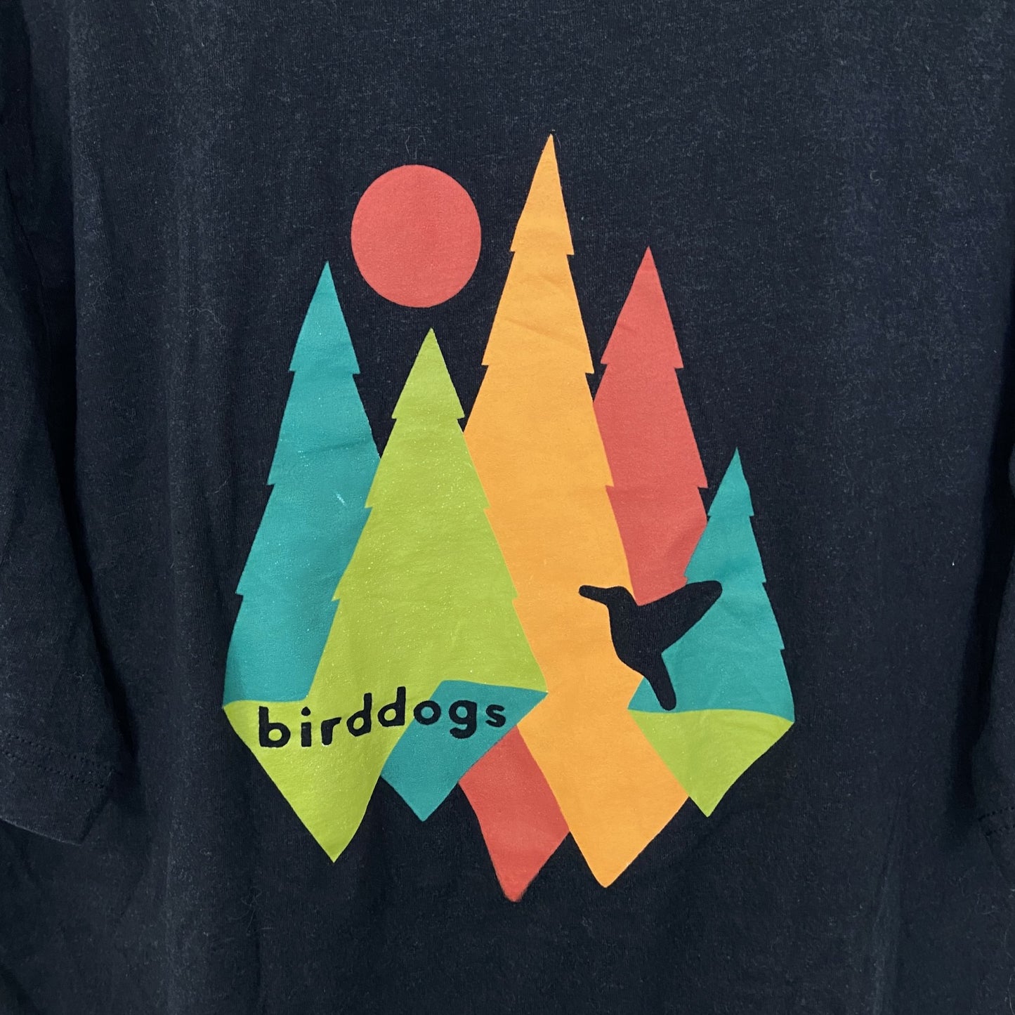 古着 used　BIRDDOGS　半袖ワンポイントプリントTシャツ　バックプリント　グラフィックデザイン　黒　ブラック