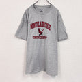 champion　チャンピオン　半袖プリントTシャツ　カレッジ　灰色　グレー　XLサイズ