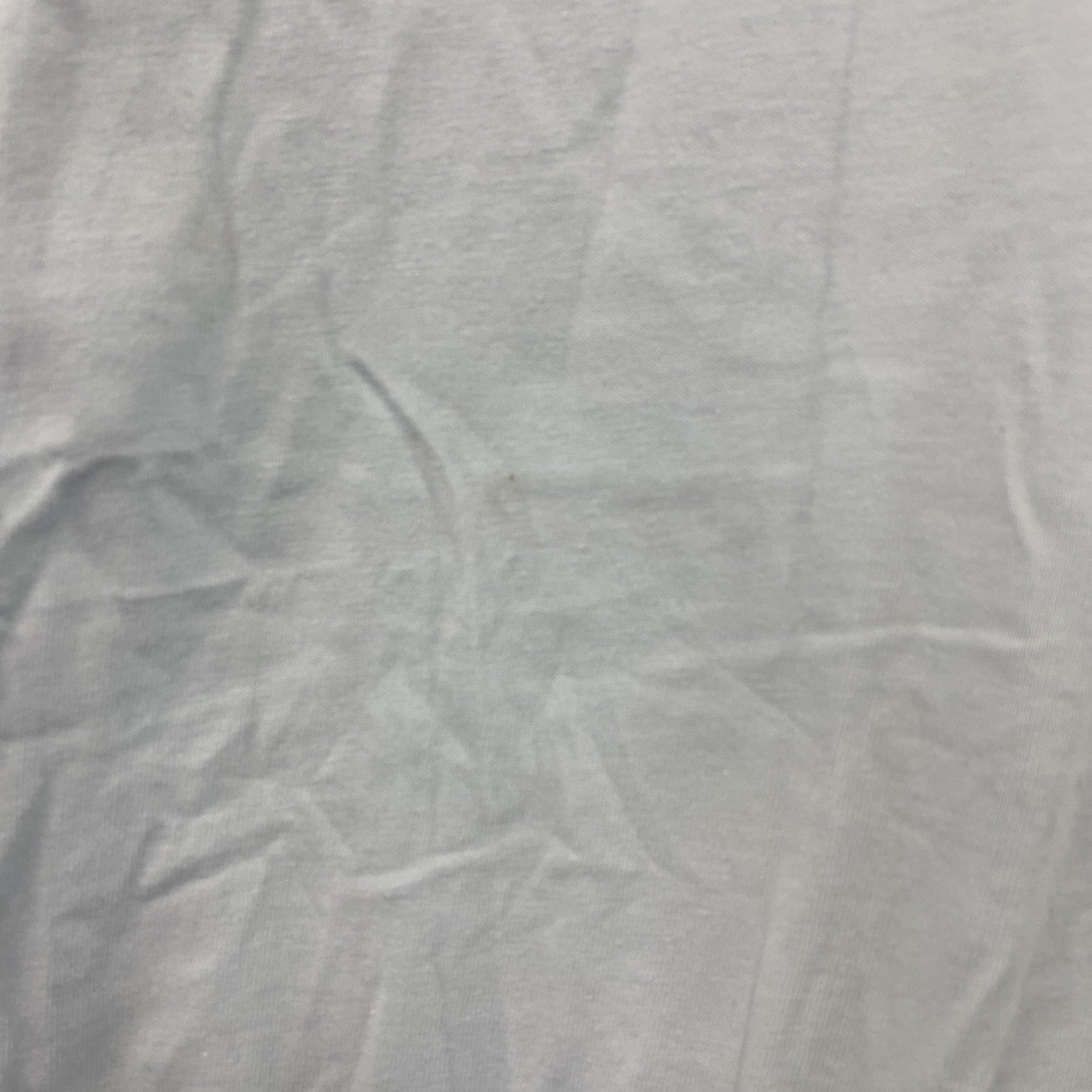 Agnes b.　アニエスベー　半袖プリントTシャツ　水色　ライトブルー　3サイズ